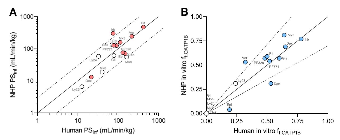 Comparison of in vitro uptake in human and monkey cultured hepatocytes.